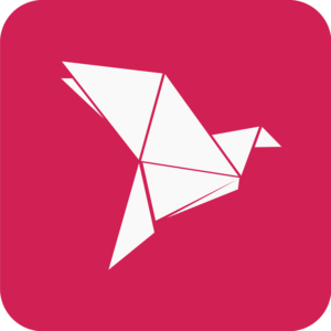 BKash App PNG Logo