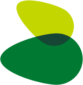 Banco Falabella PNG Icon