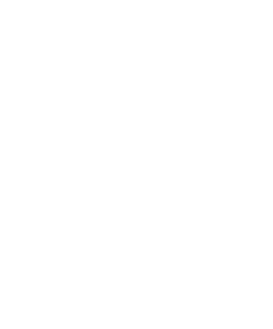 Louis Vuitton White Logo